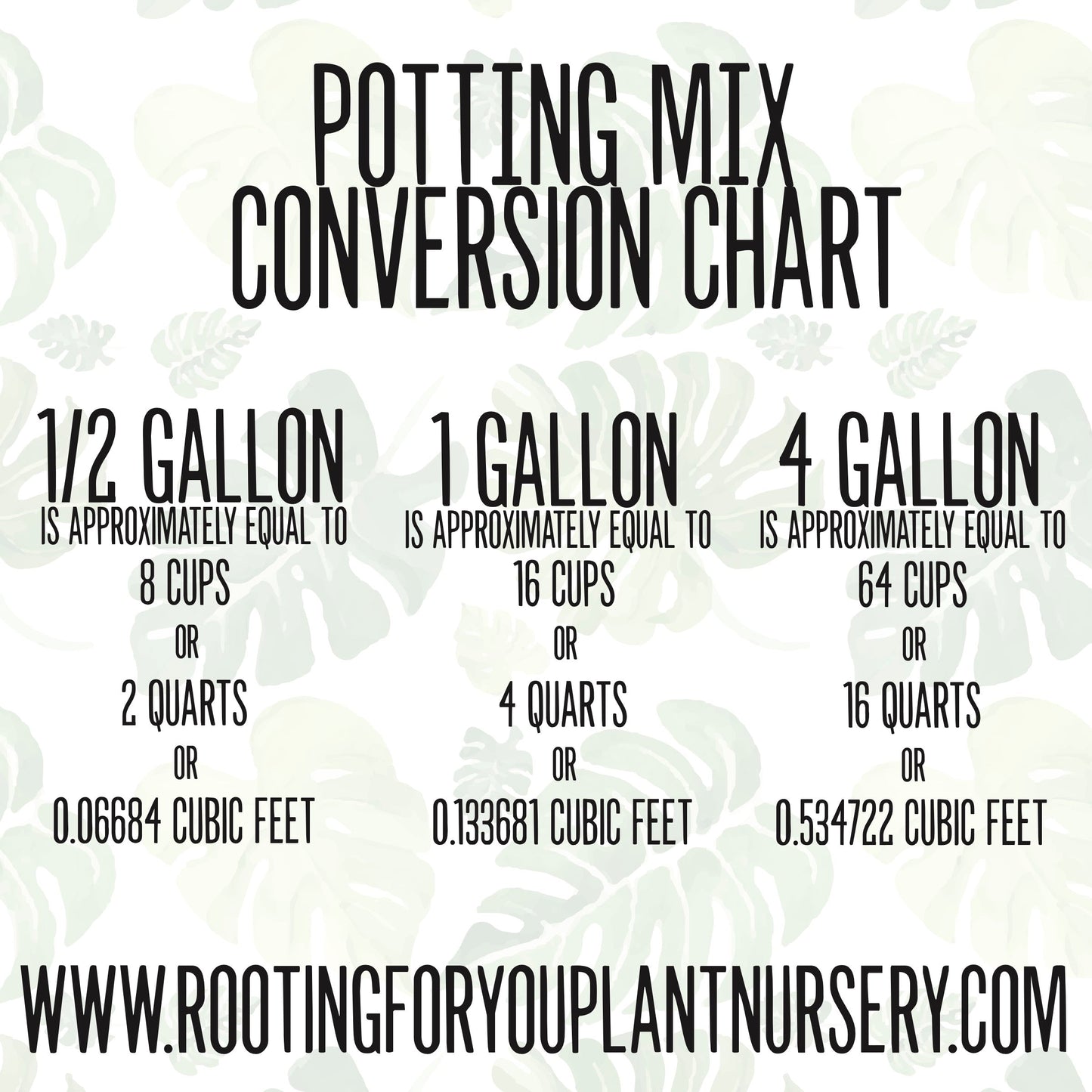 Spider Plant Premium Potting Mix