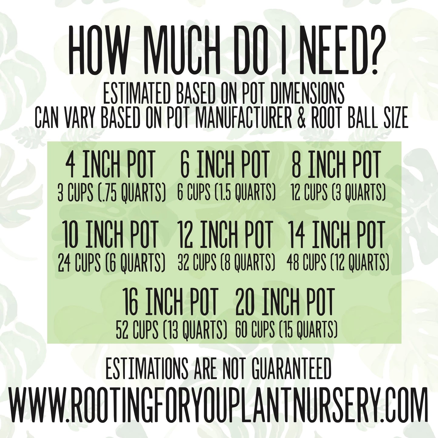 Spider Plant Premium Potting Mix